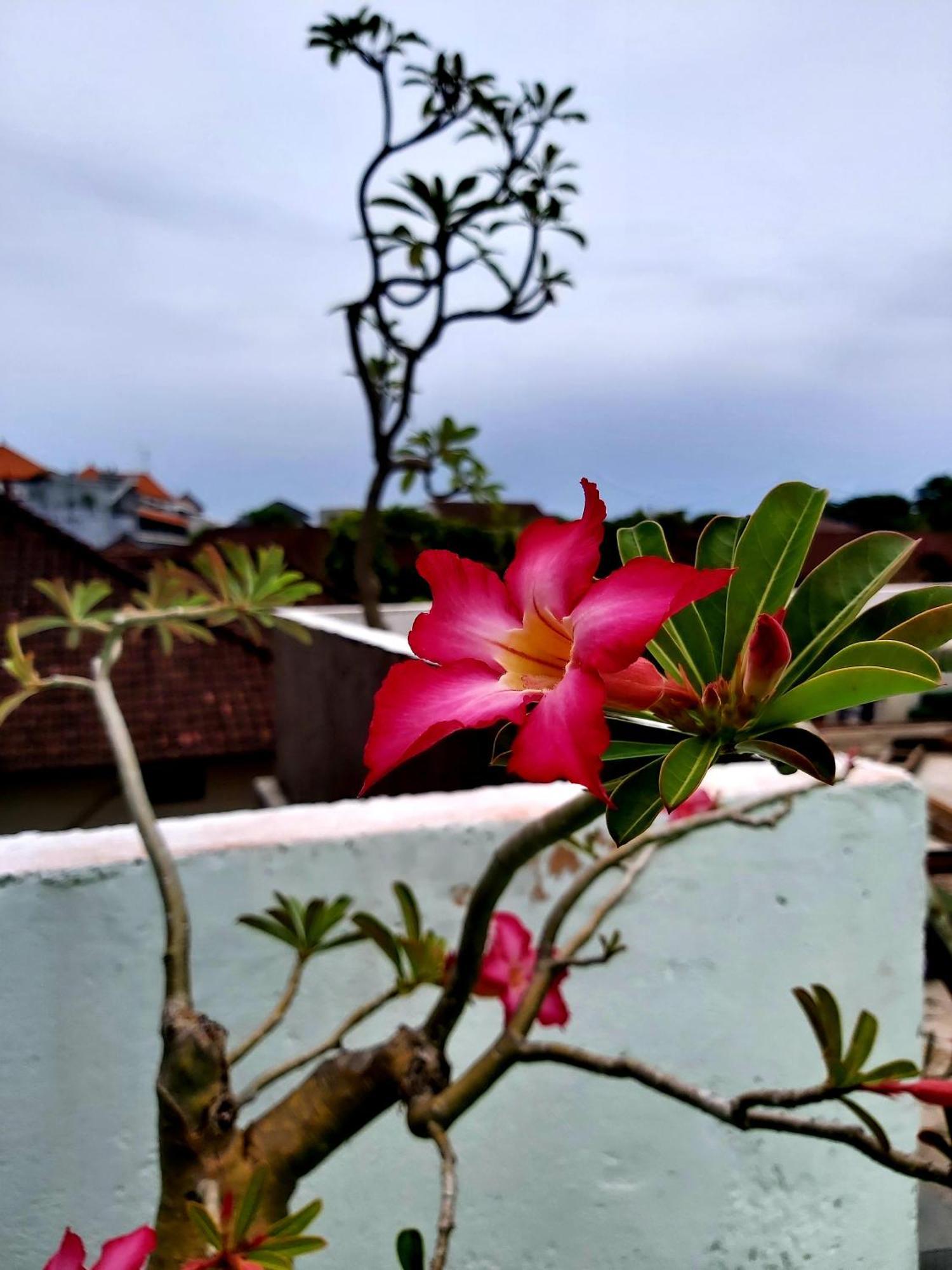 Hotel Genta House Kuta Lombok Exteriér fotografie